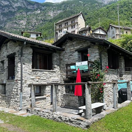 Villa Rustico Efrina, Neu Renoviert Frasco Esterno foto