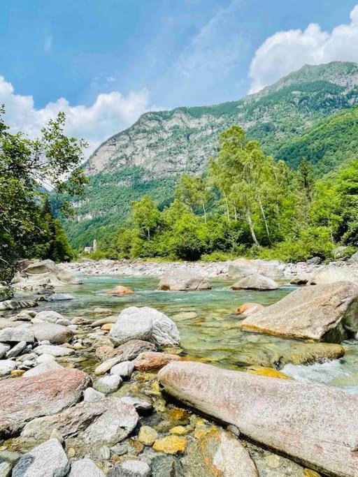 Villa Rustico Efrina, Neu Renoviert Frasco Esterno foto