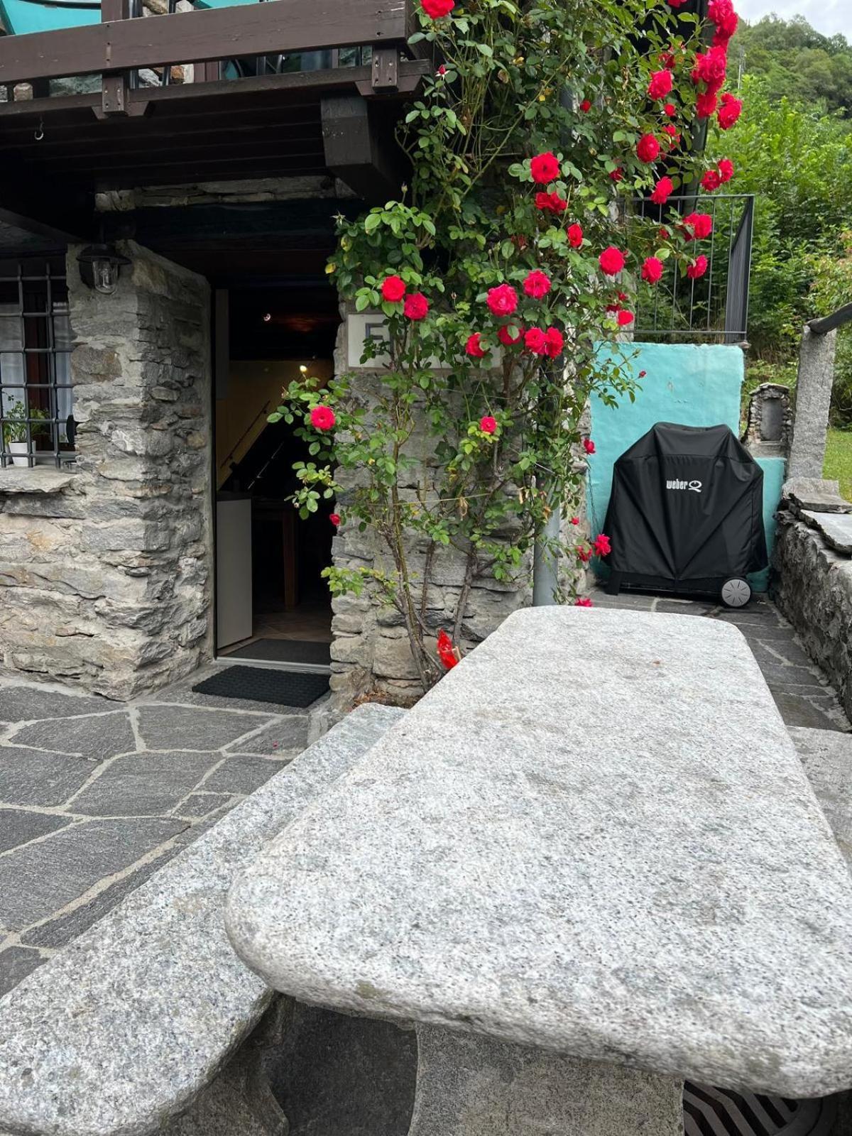 Villa Rustico Efrina, Neu Renoviert Frasco Esterno foto
